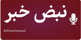 نبض خبر